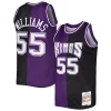 Jason Williams Sacramento Kings Hardwood Classics 2000/01 Split Swingman Prime Jersey Purple/Black