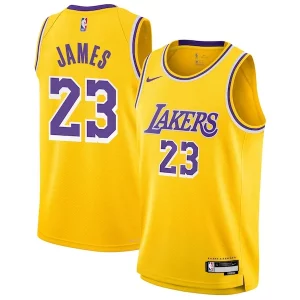 LeBron James Los Angeles Lakers Nike Youth Swingman Stylish Jersey Icon Edition Gold