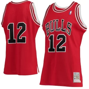 Michael Jordan Chicago Unique Bulls 1989/90 Hardwood Classics Authentic Jersey Red
